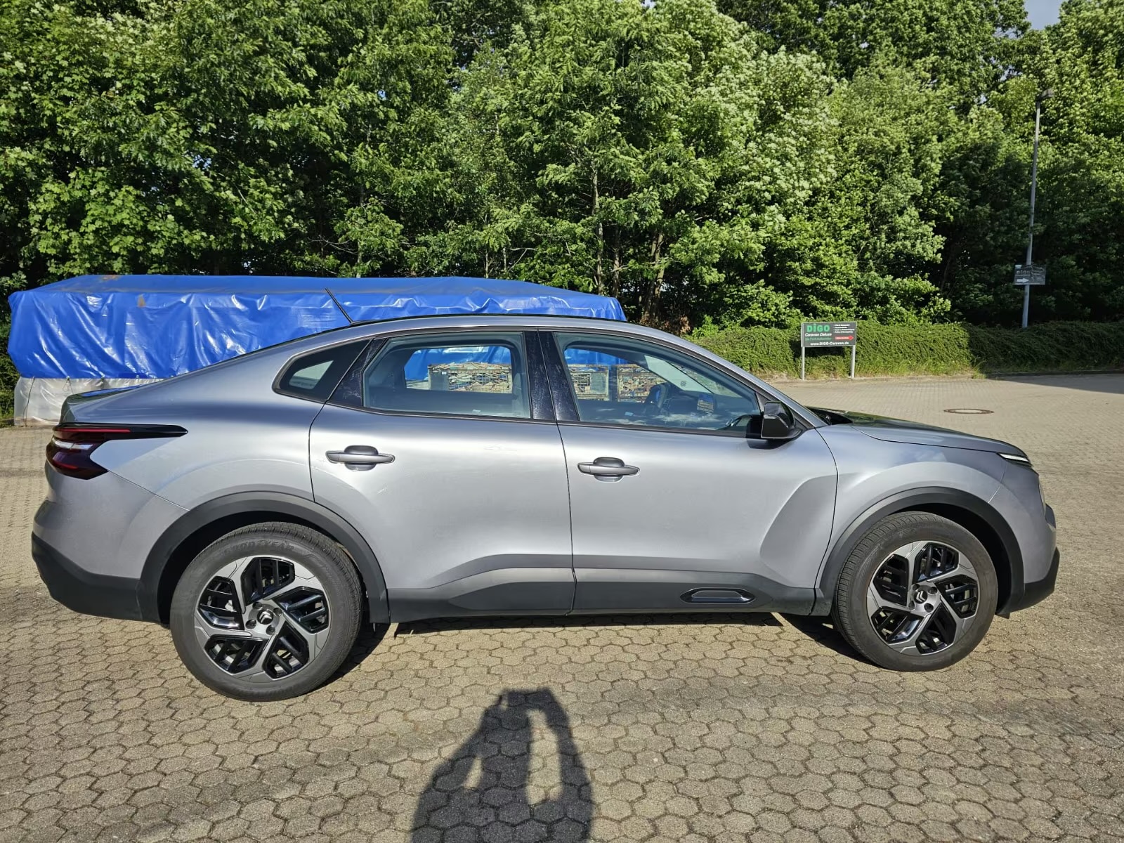 Vue 5